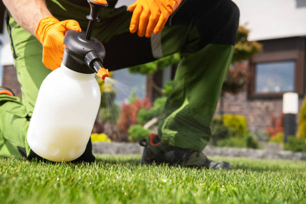 Best Pest Inspection Near Me  in Hale Center, TX