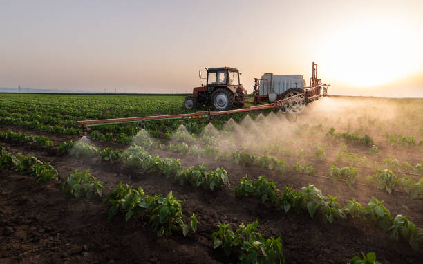 Professional Pest Control in Hale Center, TX