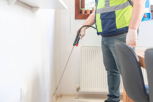 Best Affordable Pest Control Services  in Hale Center, TX
