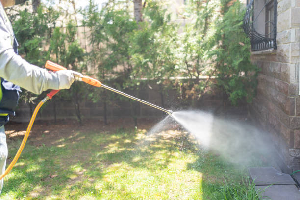 Best Cockroach Control Services  in Hale Center, TX