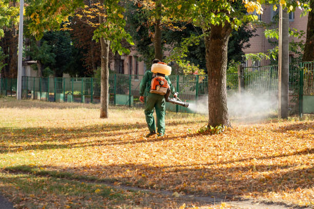 Best Pest Prevention Services  in Hale Center, TX