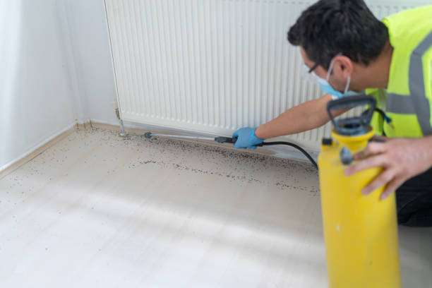 Best Emergency Pest Control  in Hale Center, TX