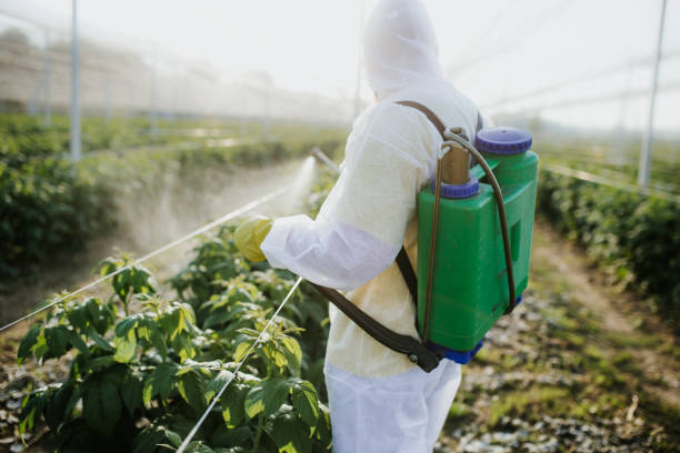 Best Affordable Pest Control Services  in Hale Center, TX